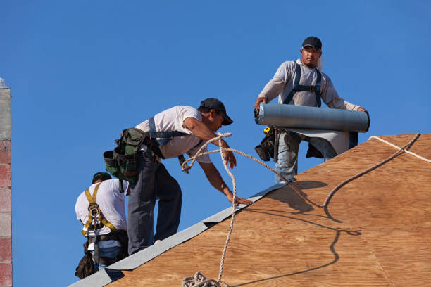 Best Commercial Roofing Services  in Palmview, TX