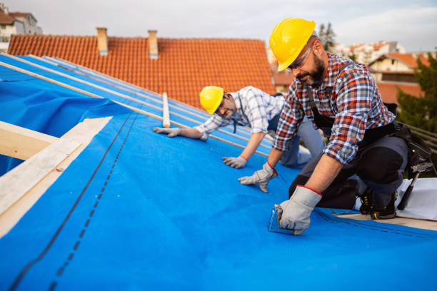 Best Roof Gutter Cleaning  in Palmview, TX